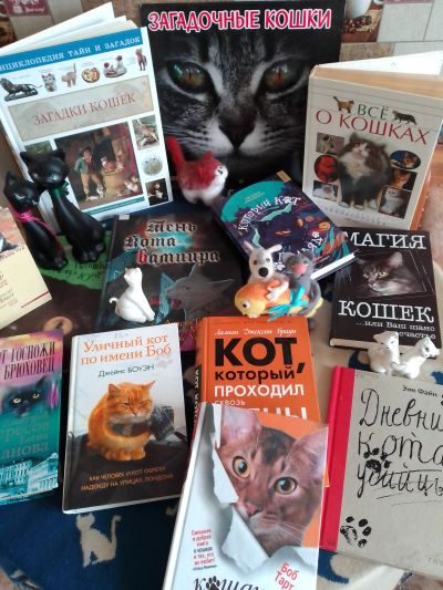 Книжная выставка к Дню кошек